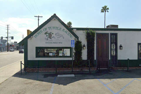 California bar famous for turtle races closes after half century