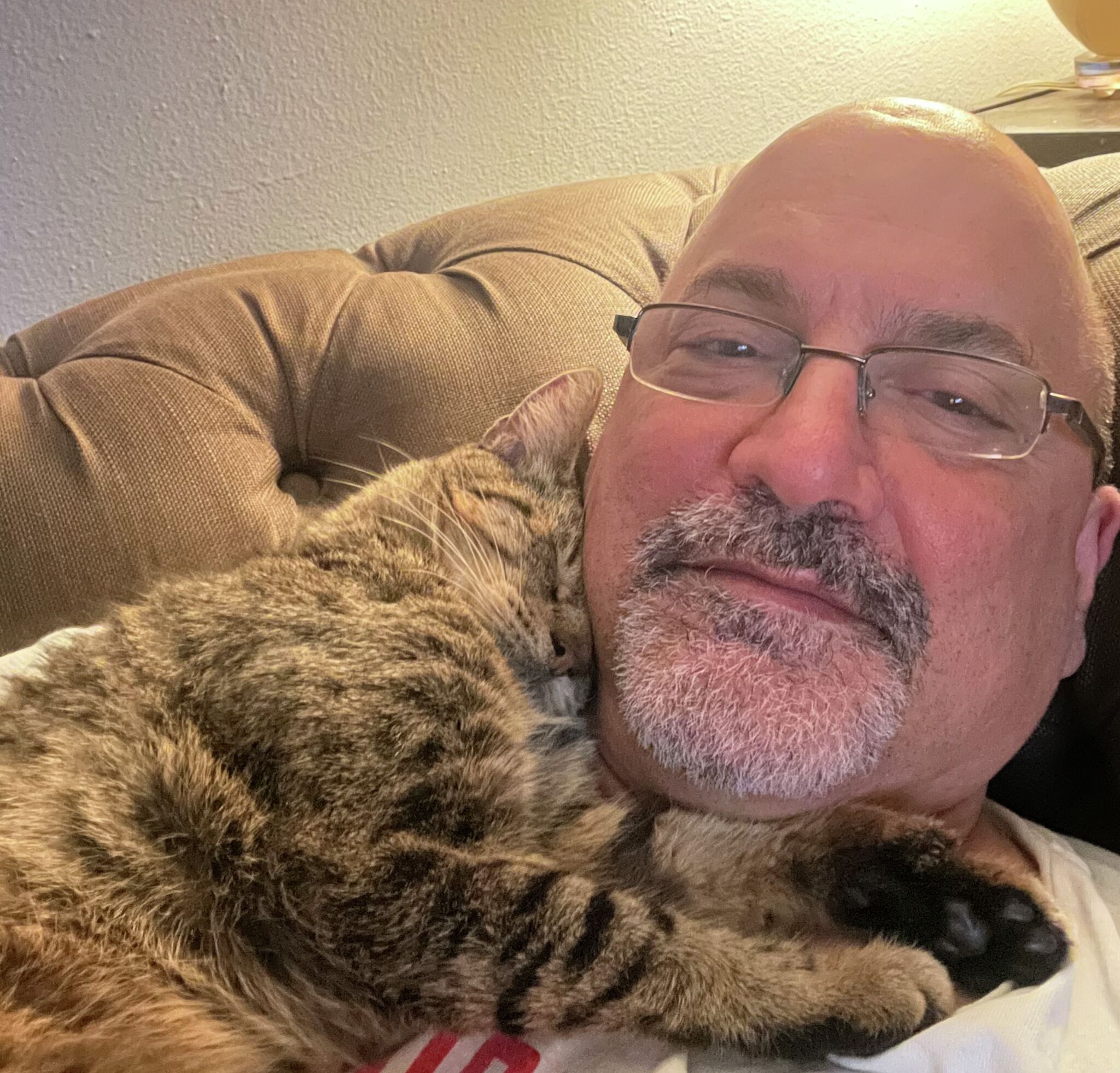 Opinion: Another stray cat struts through our door and into our hearts