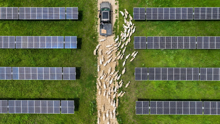 Video: Solar grazing combines sheep ranching and solar energy for dual ...