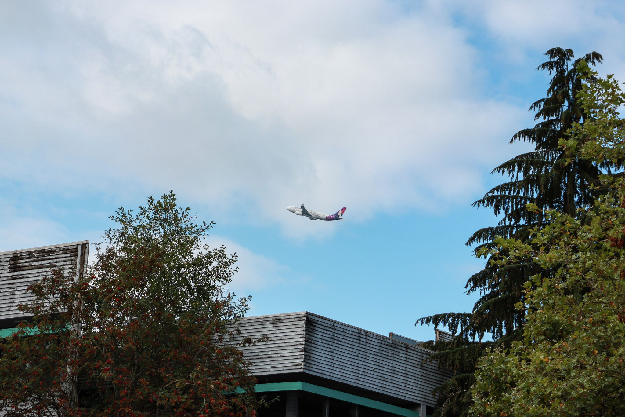 Hawaiian Airlines is slowly disappearing in front of our eyes