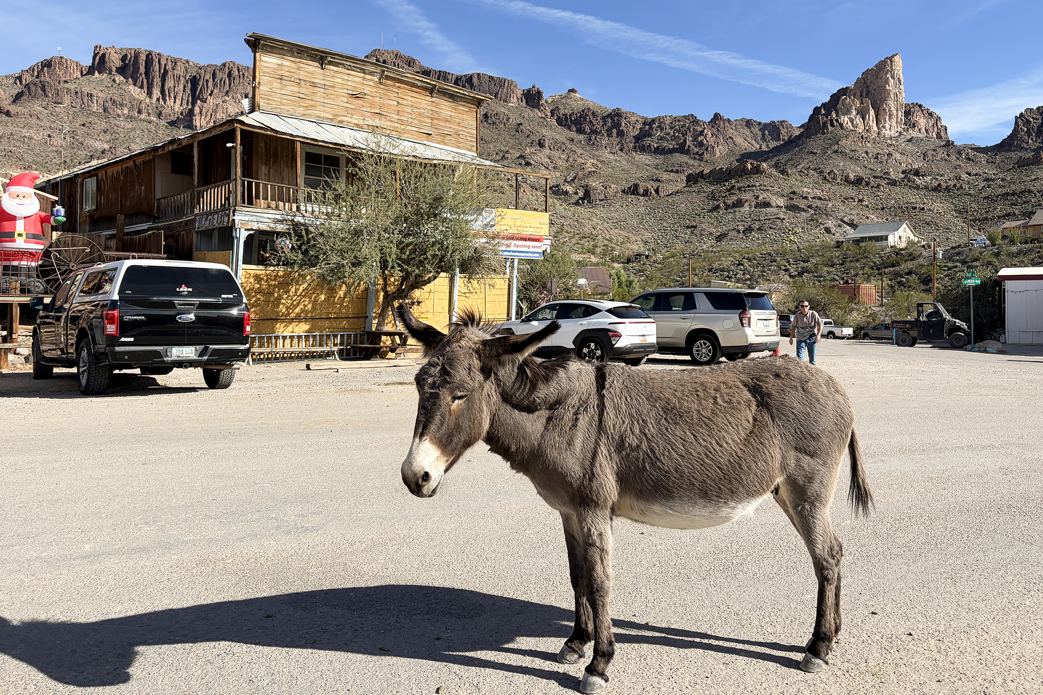 The Arizona ghost town that's overrun with donkeys