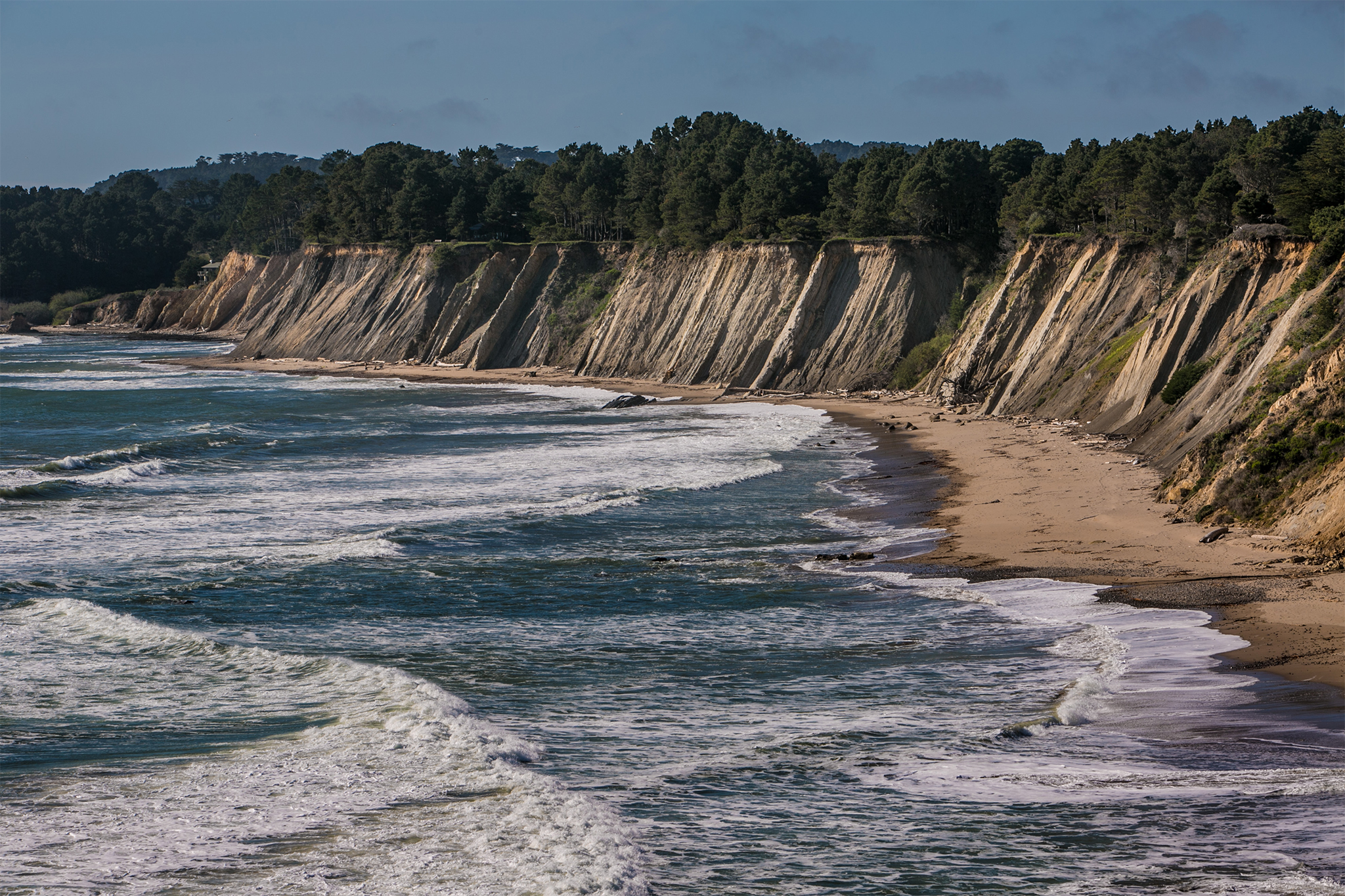 Shark encounters hit record high in California