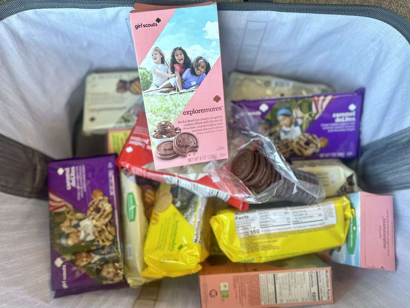 What do Exploremores cookies from the Girl Scouts taste like? Find out