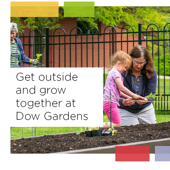 Dow Gardens’ Growin’ Gardeners offers eight-week family classes