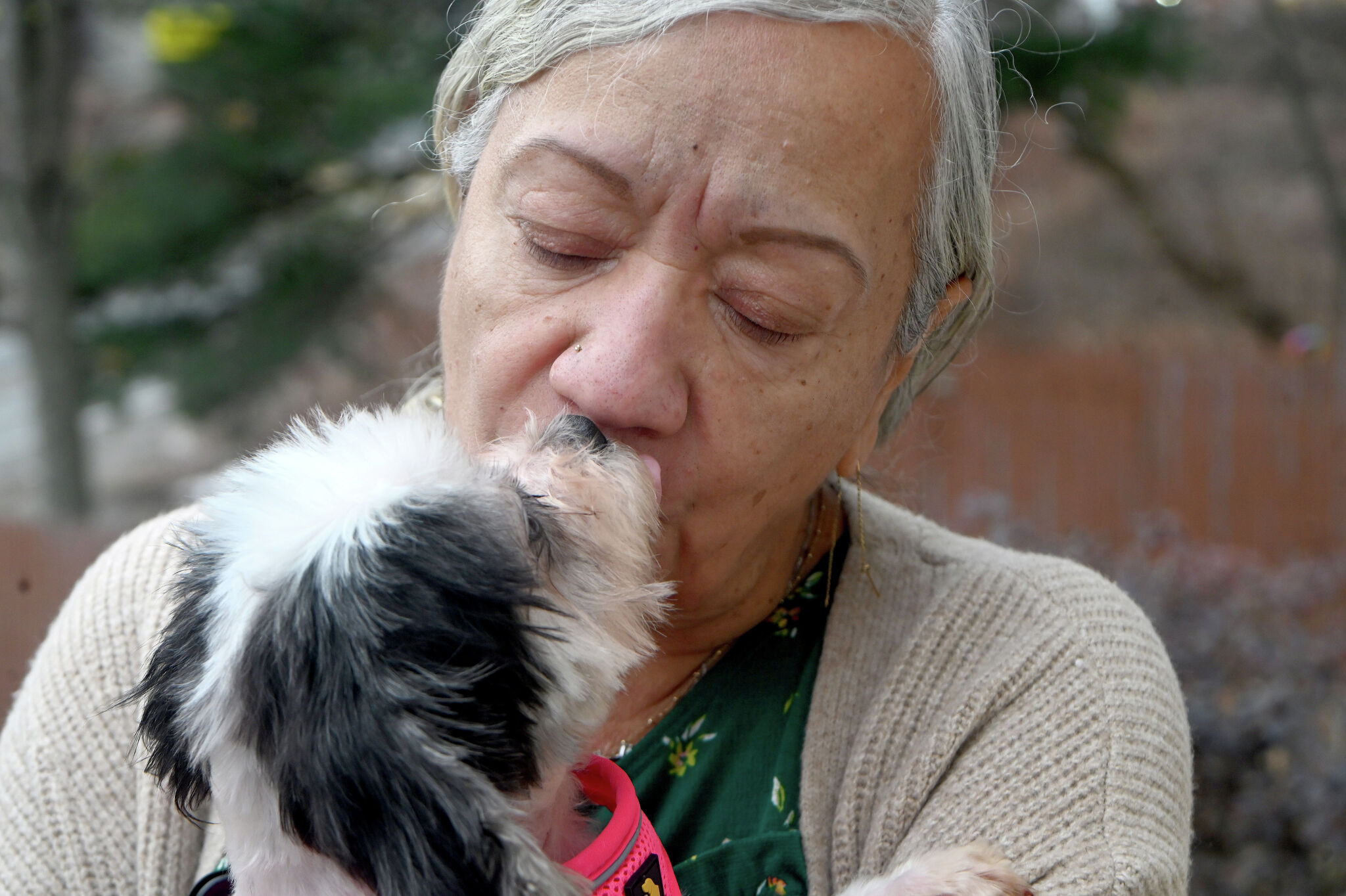 Waterbury woman reunited with dog 350 days after it disappeared