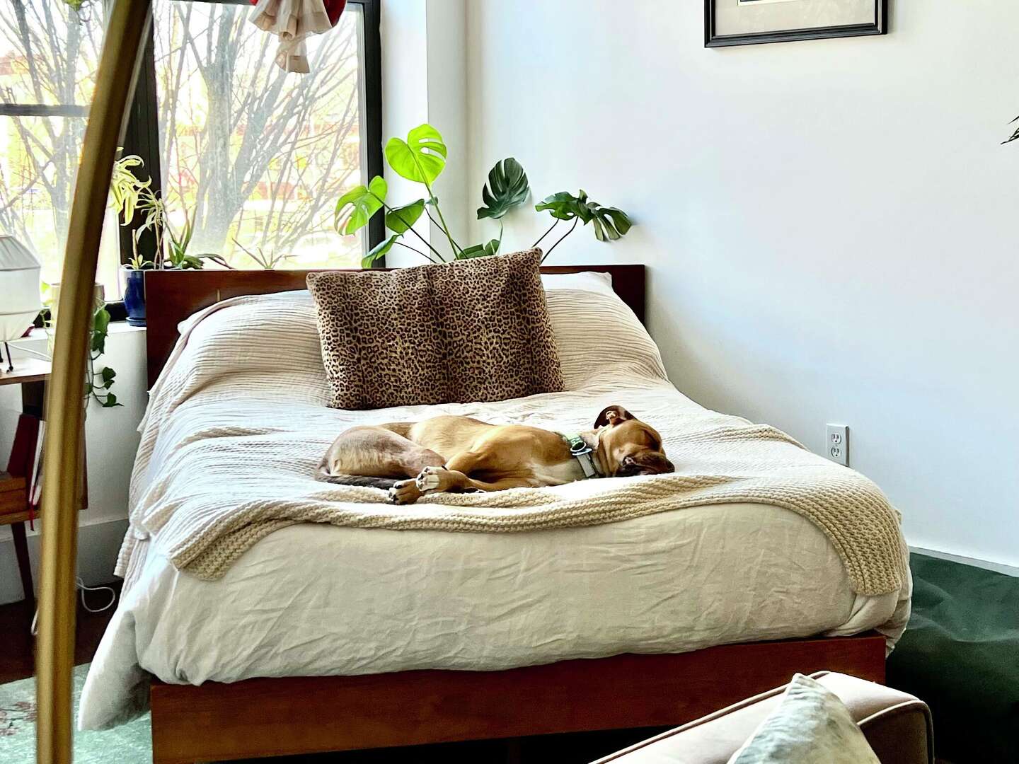 Picture Idea: Upgrade Your Bed With These Eco Friendly Bedding Brands