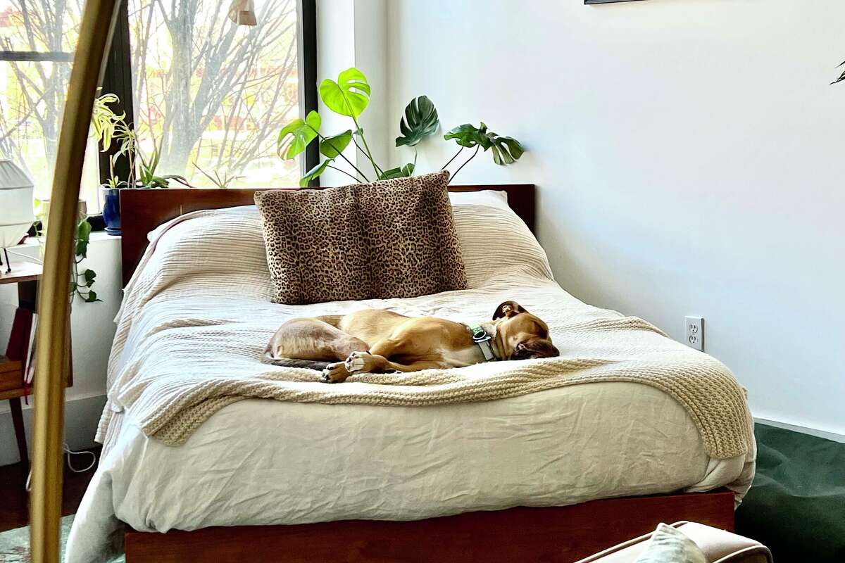 Commit to a healthier sleep setup this year with these eco-friendly bedding brands.