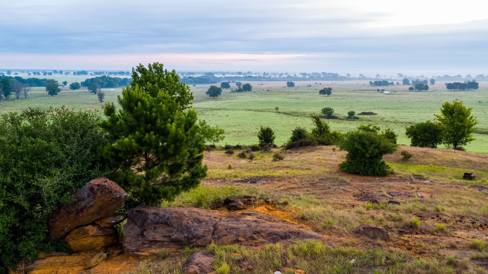 Texas Ranch Field Sprawling Texas ranch southeast of Dallas has a new owner