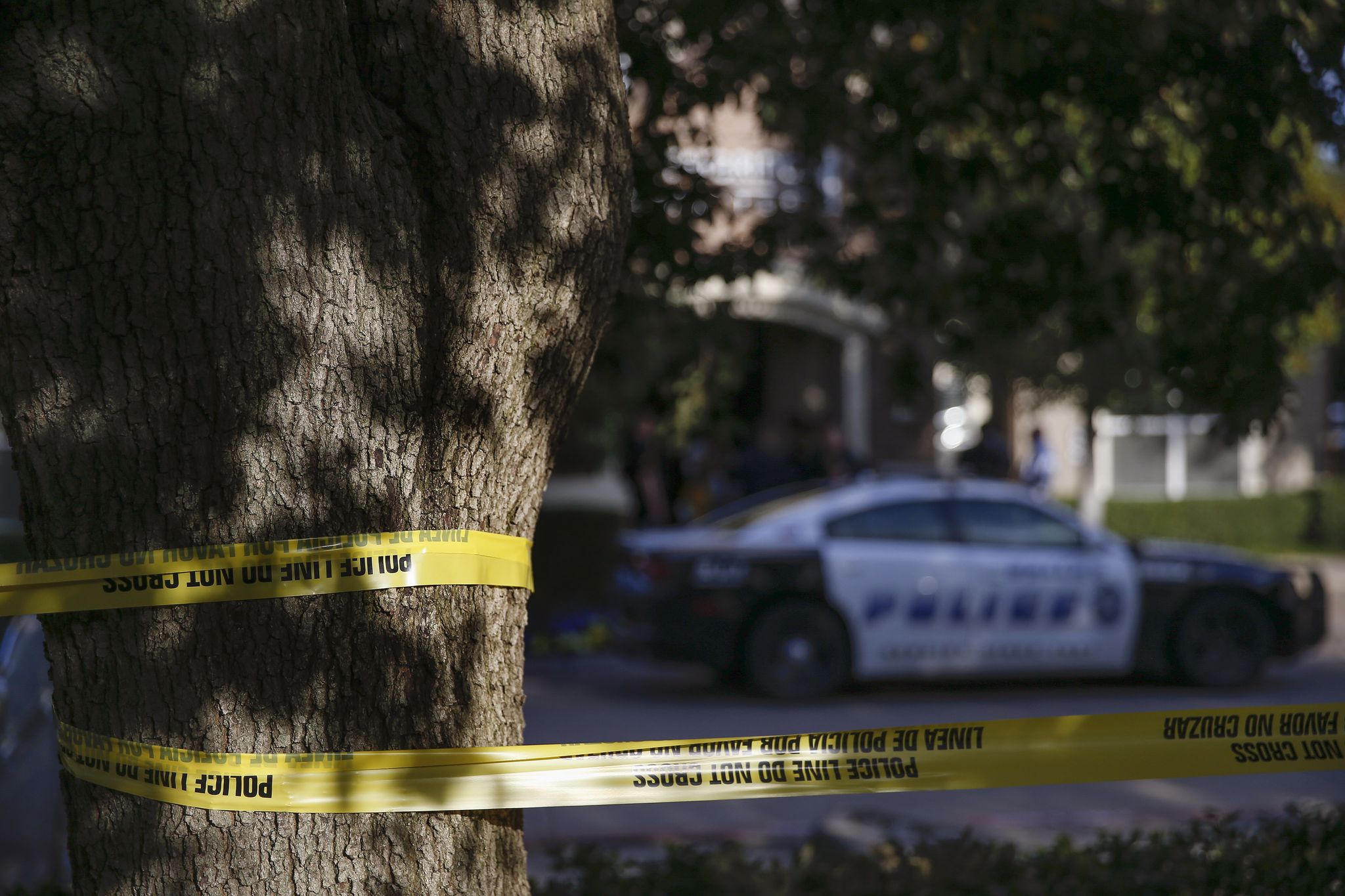 Father, sons among 4 shot to death in possible murder-suicide, Dallas ...