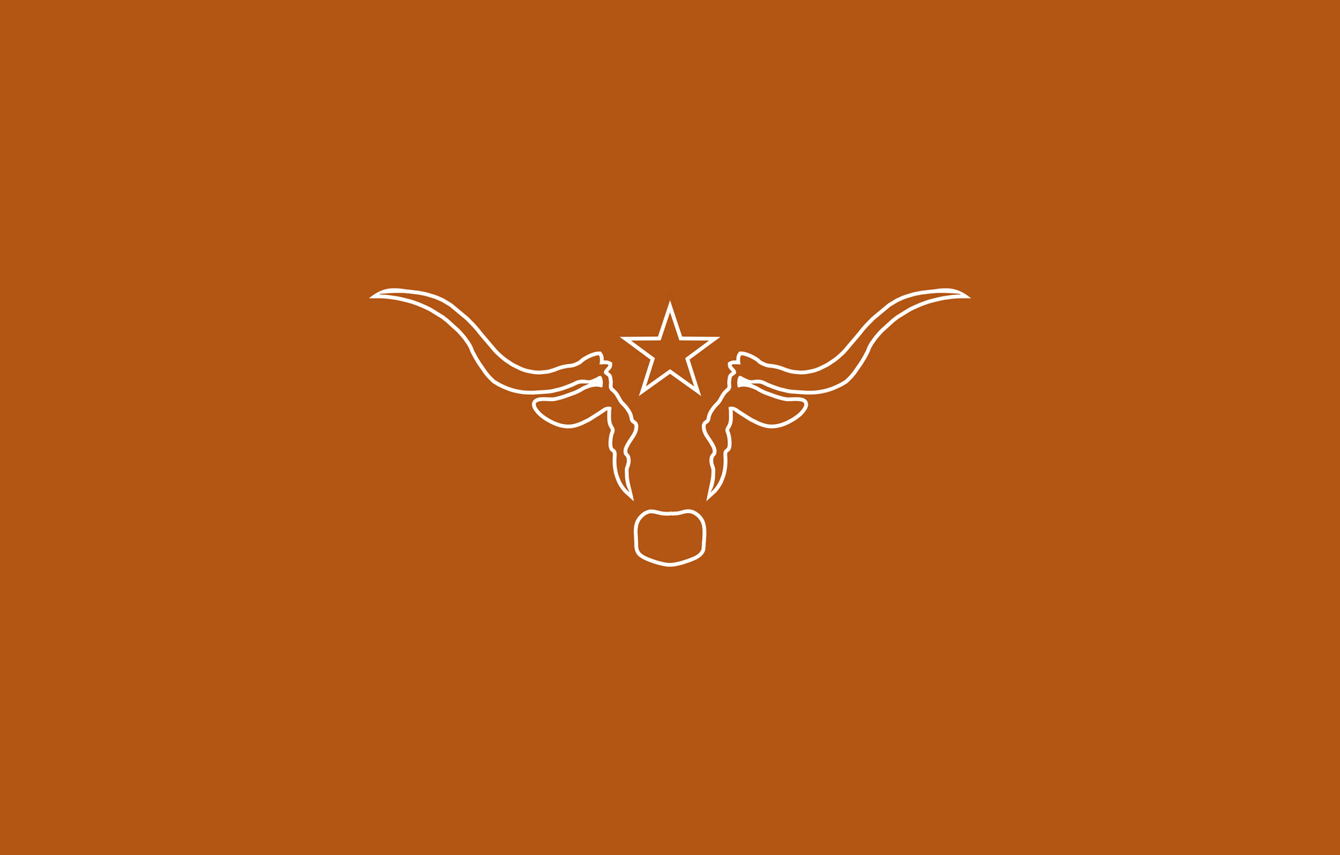 www.dallasnews.com
