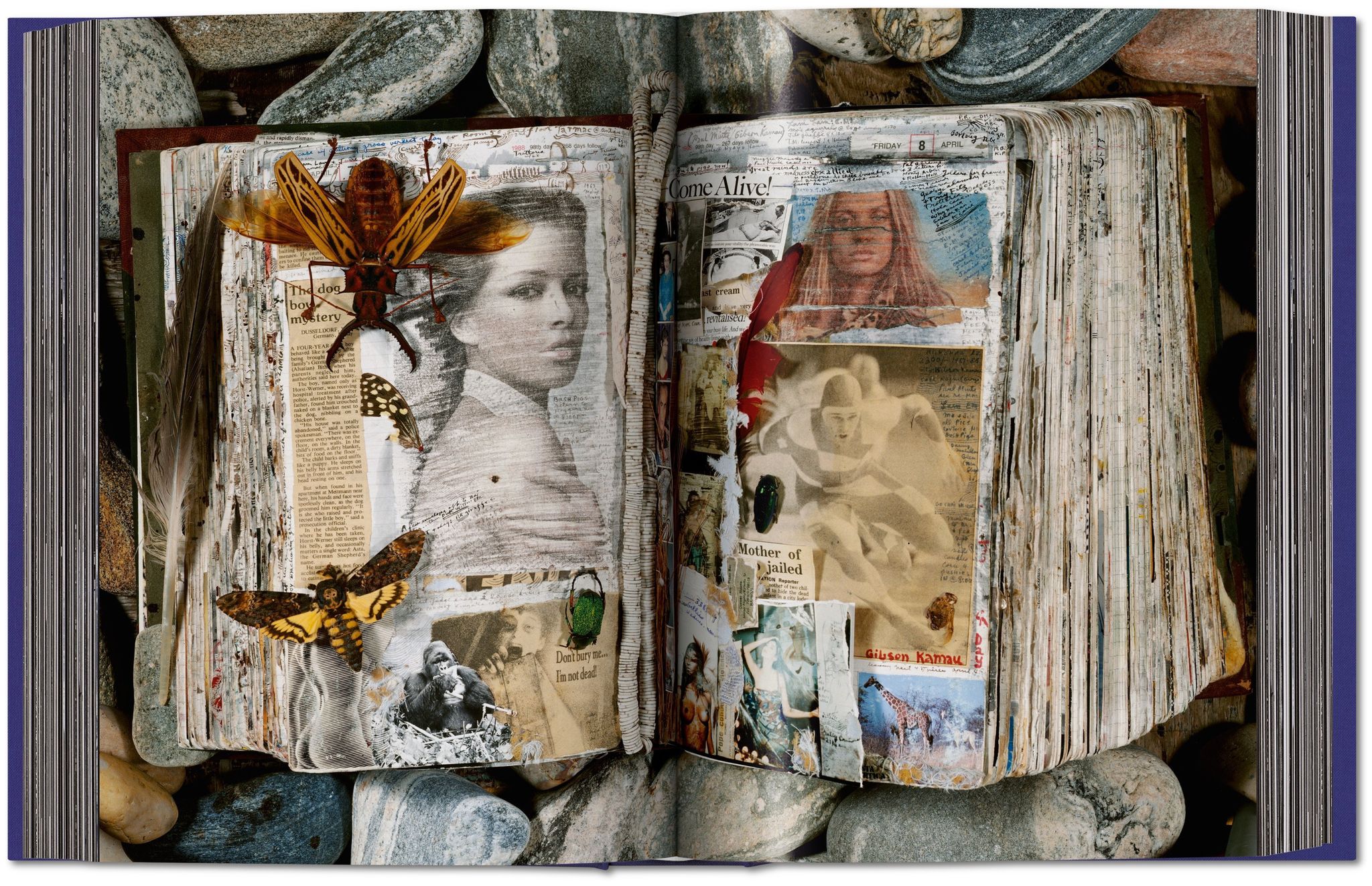 Photographer Peter Beard lived and worked on the edge - and