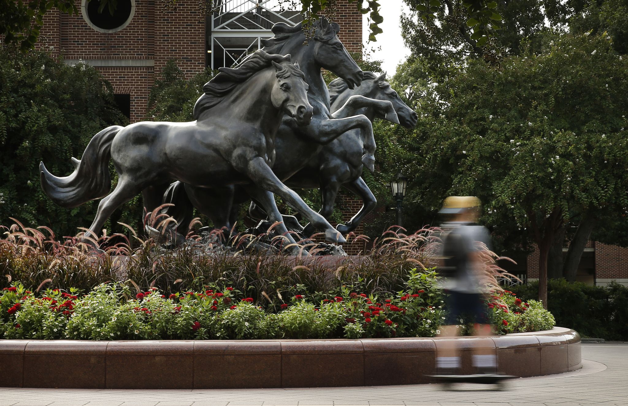 The News to host discussion about the state of higher education