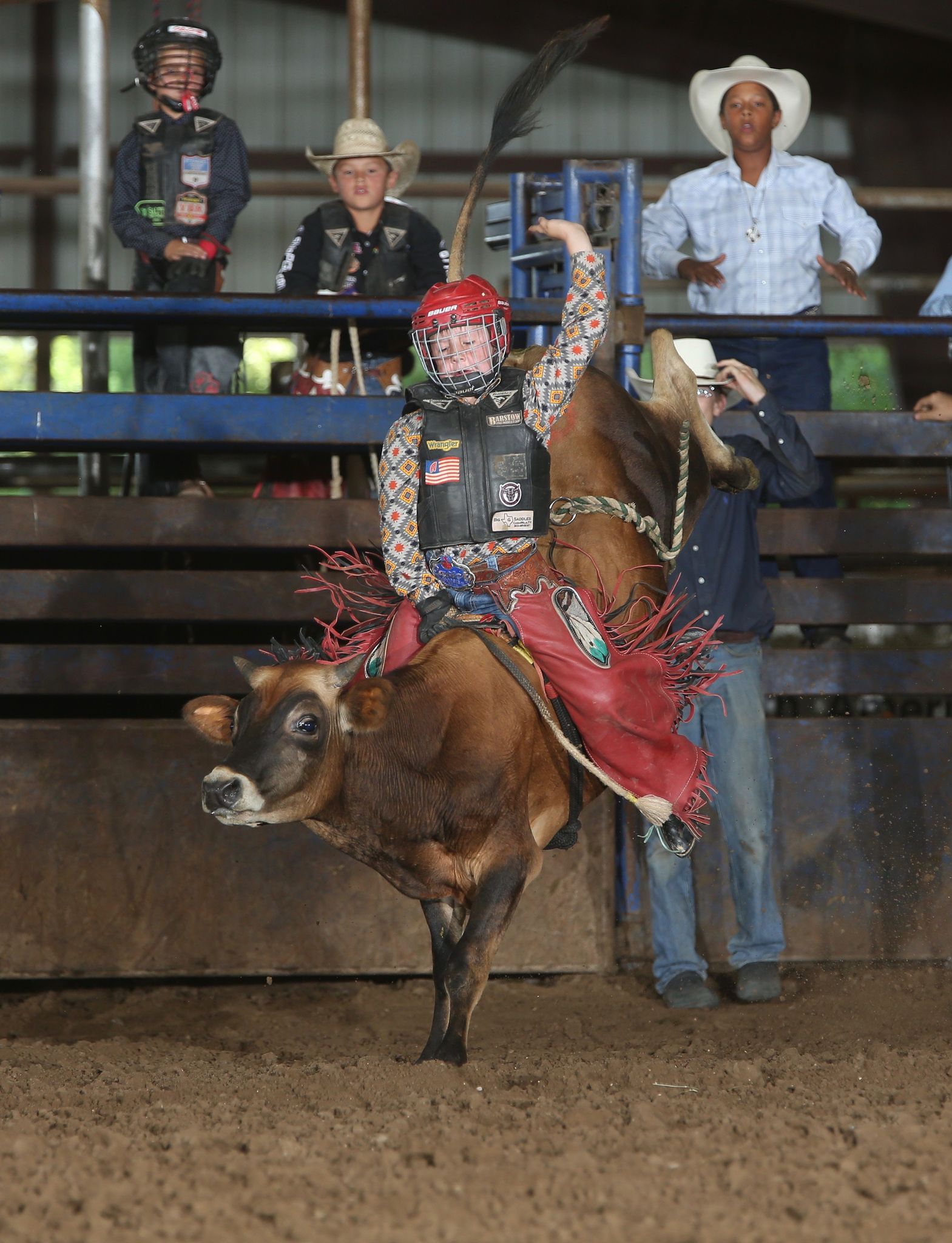 Dwarf Rodeo Bull Riding Kids will ride miniature bulls at a world rodeo championship in ...