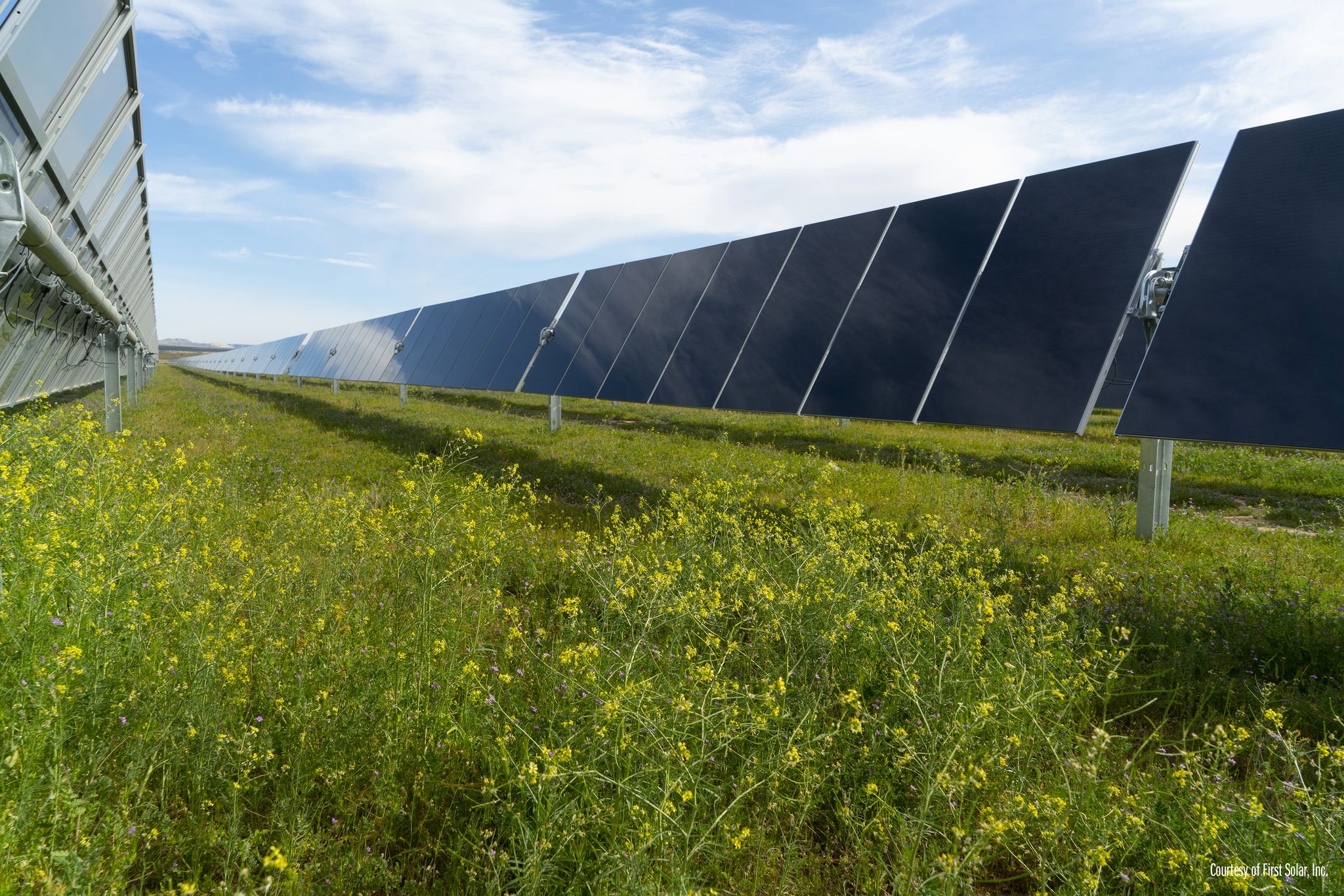 Cward Solar Dallas-based Leeward energy agrees to buy 10 GW of solar projects for ...