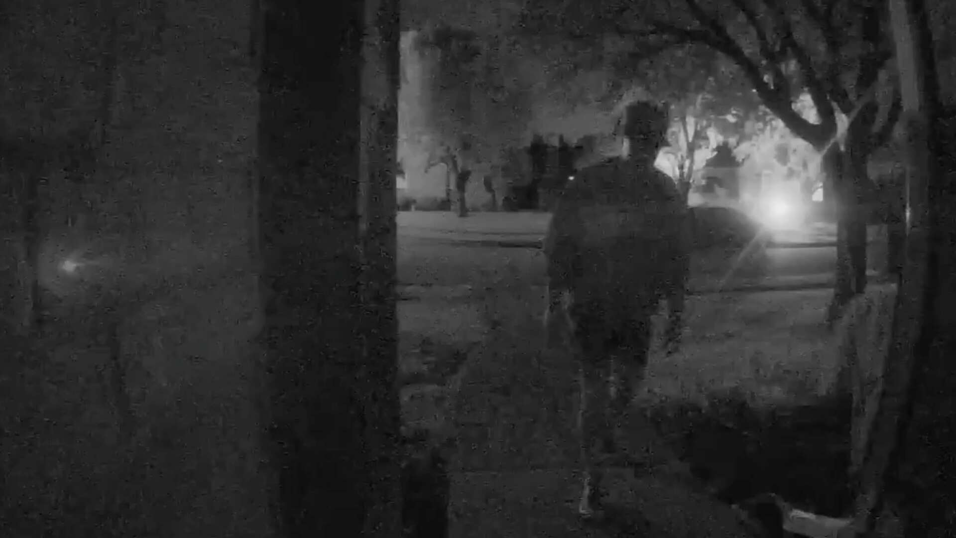 Police in McKinney are looking for a serial package thief caught on video