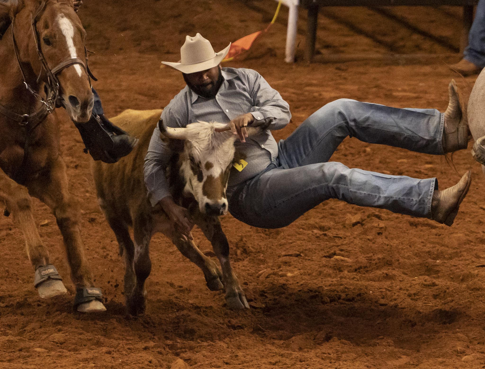 Trach Rodeo Stock What to do, see and hear at the Fort Worth Stock Show and Rodeo