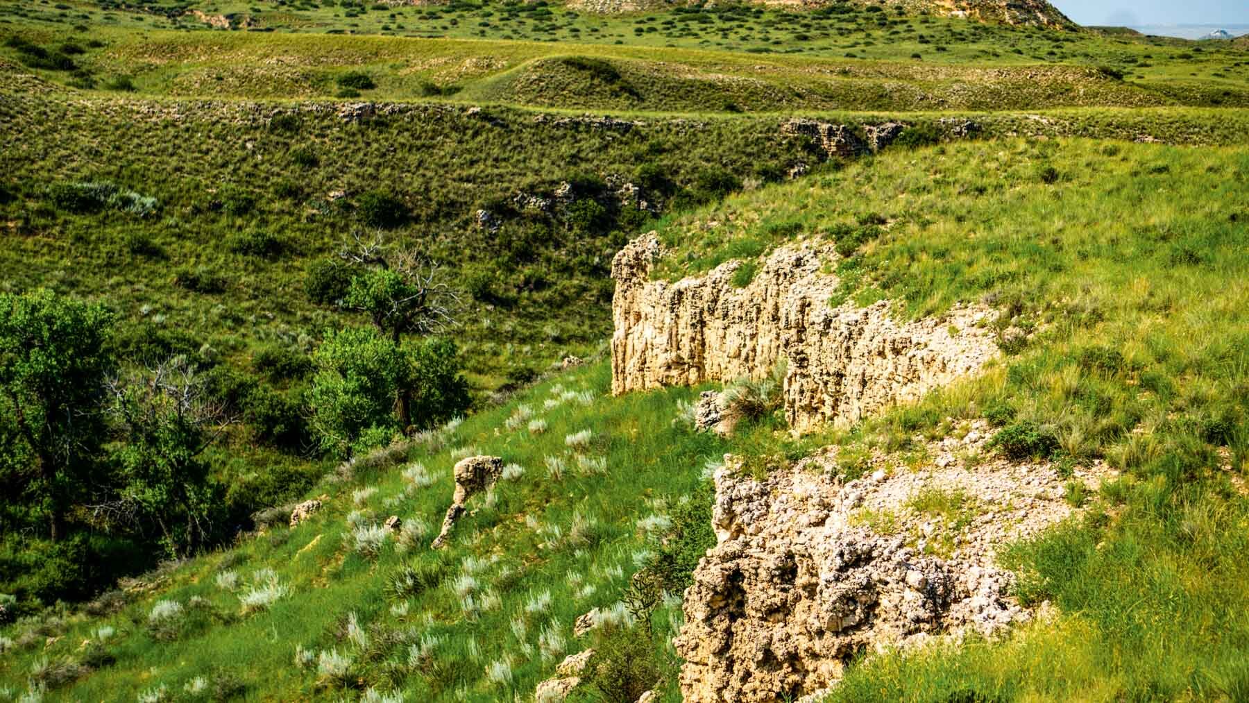 Rural Texas property buying binge takes a break