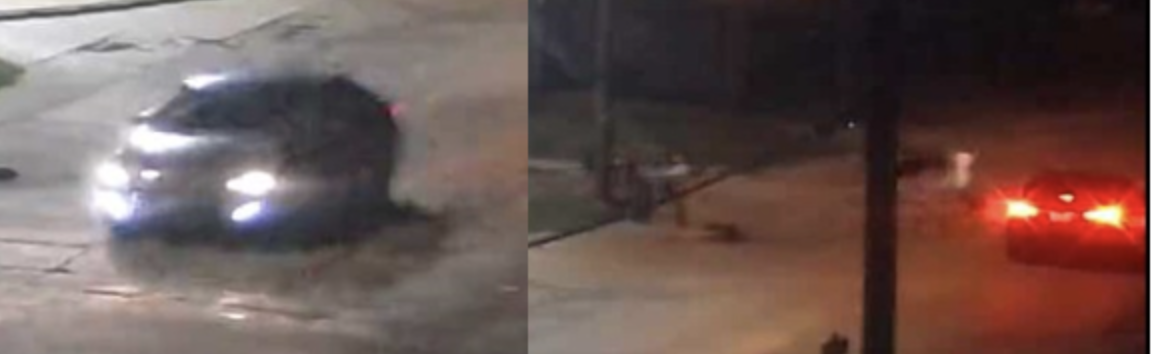 Dallas police seek driver who hit, killed woman after east Oak Cliff ...