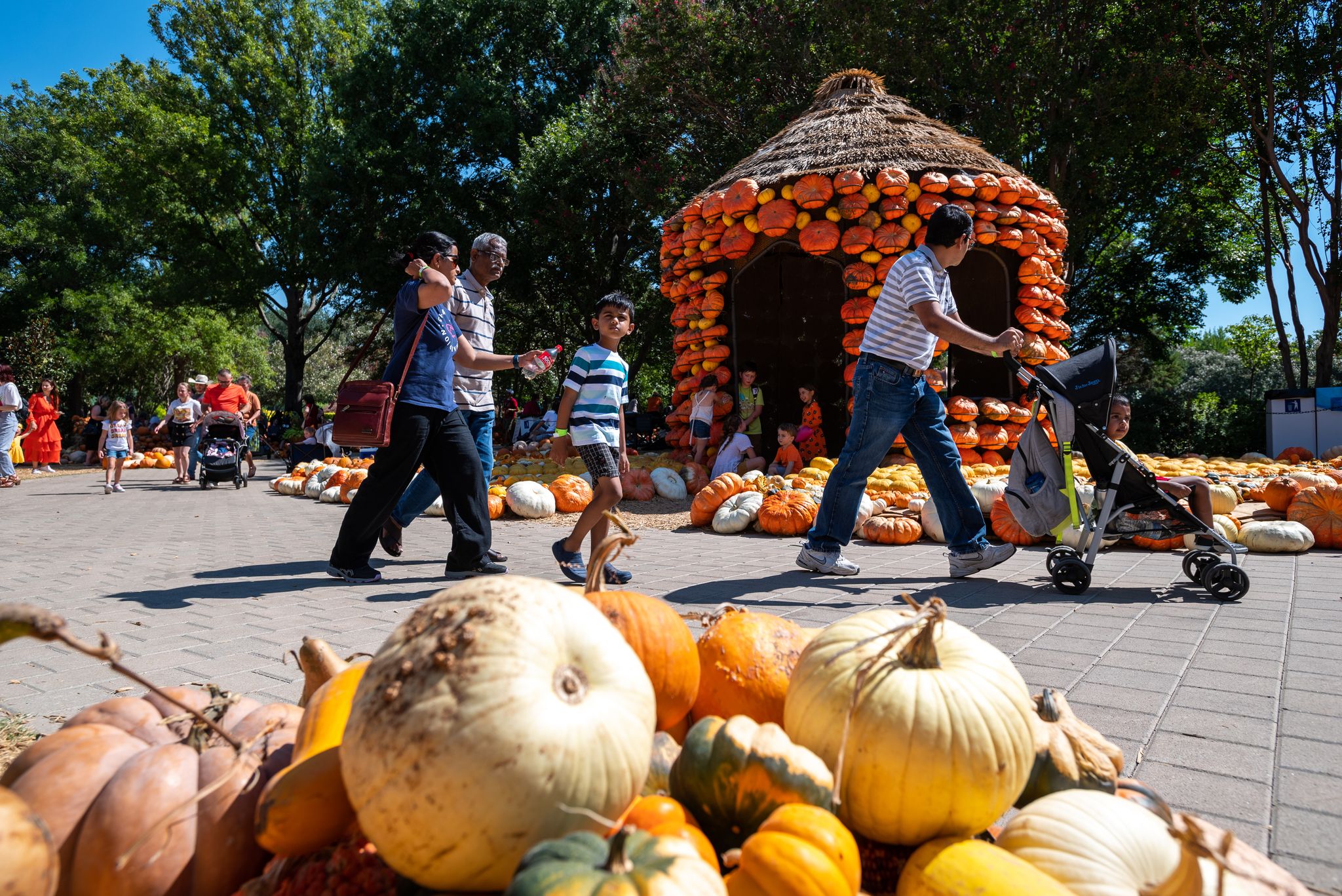 14 fall activities and festivals to check out in Dallas-Fort Worth