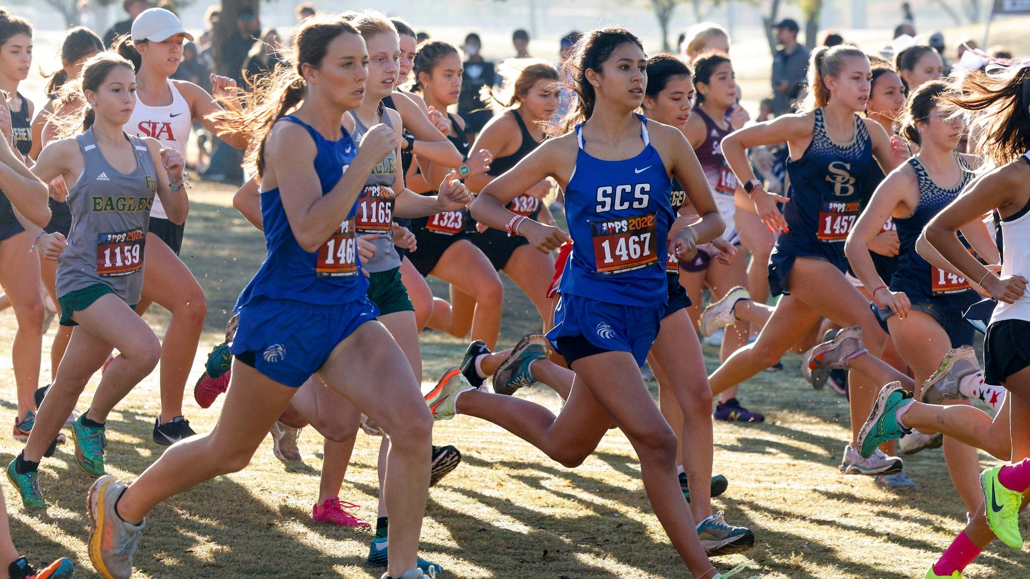 2022 TAPPS state cross country championship: Dallas-area teams bring ...