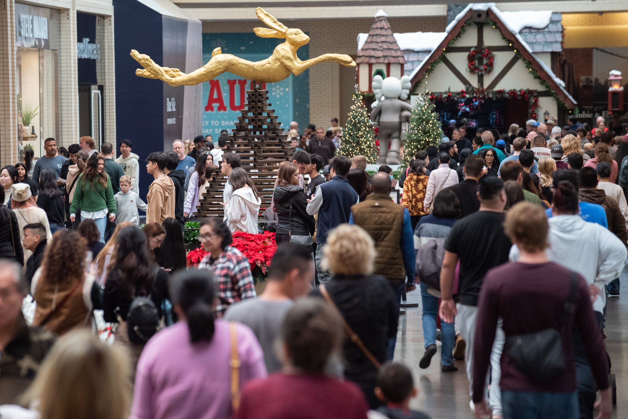 How shoplifting may affect Black Friday sales