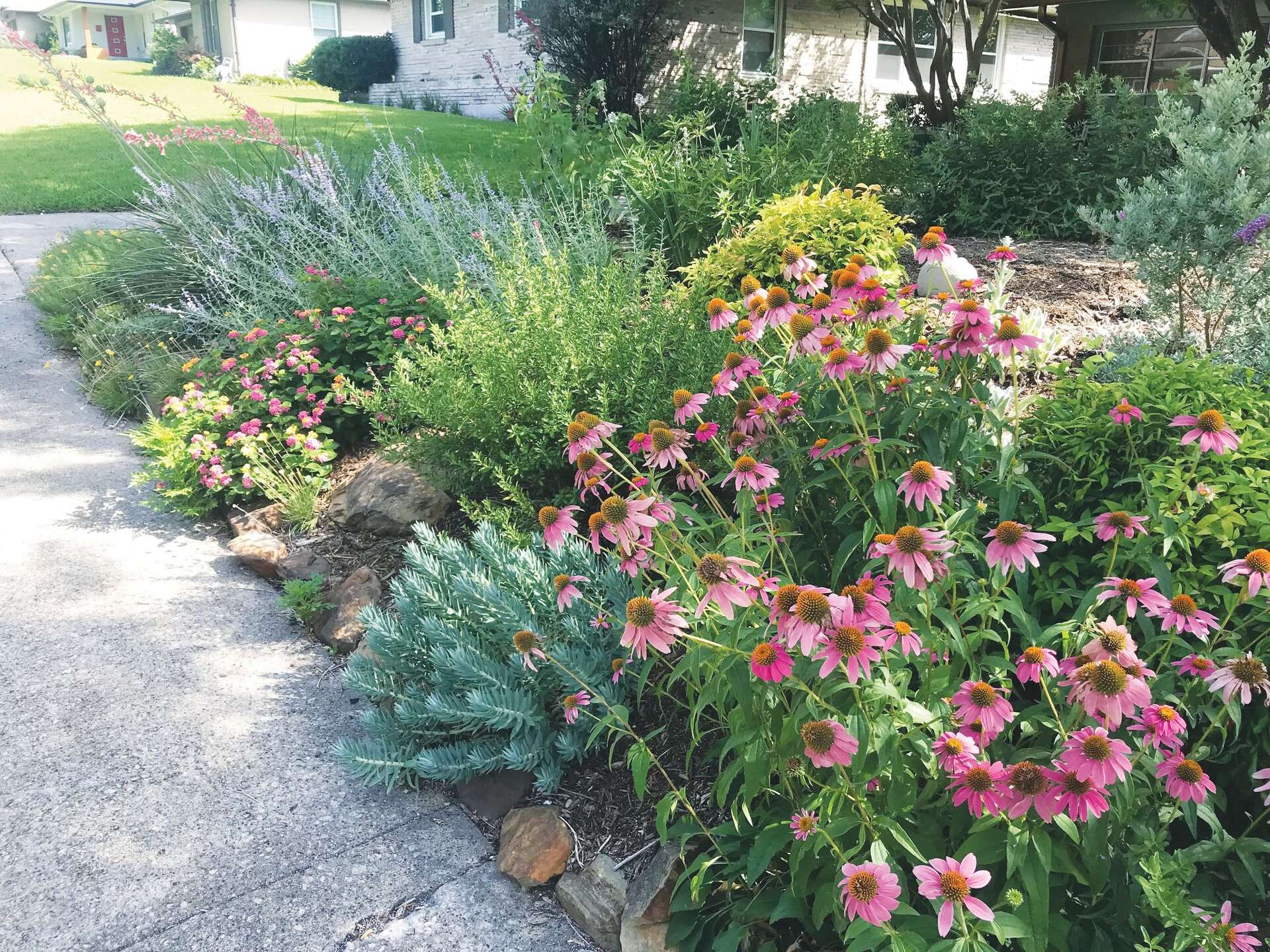 Master gardener Janet Smith's educational talks inspire green thumbs ...