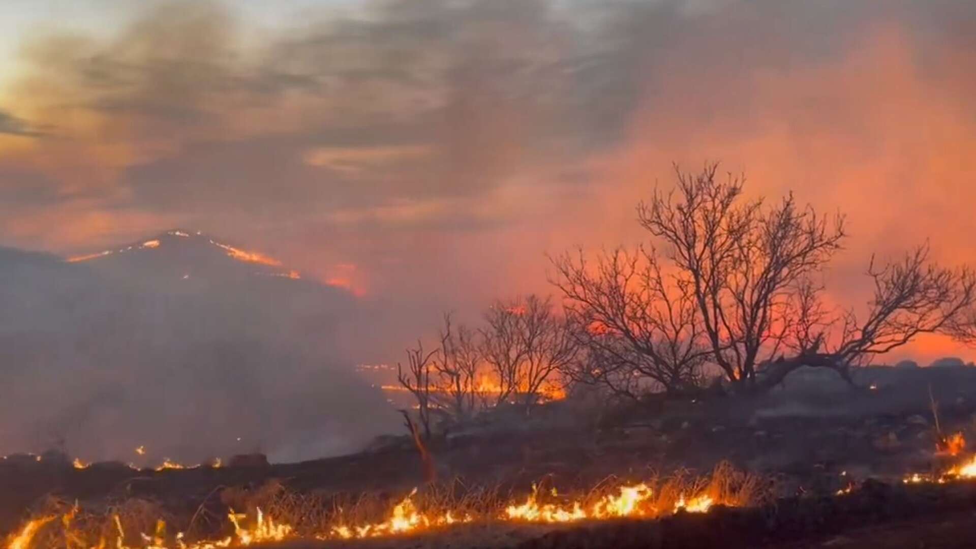 Texas Panhandle wildfires burn over 25,000 acres as of Thursday