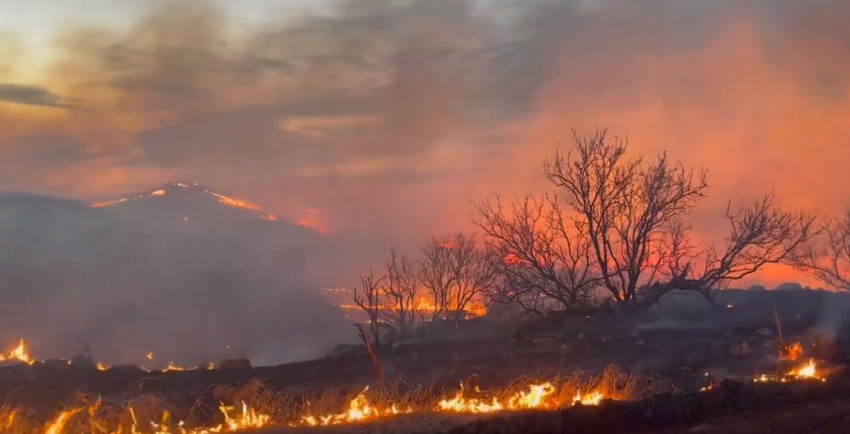 Texas Panhandle wildfires burn over 25,000 acres as of Thursday