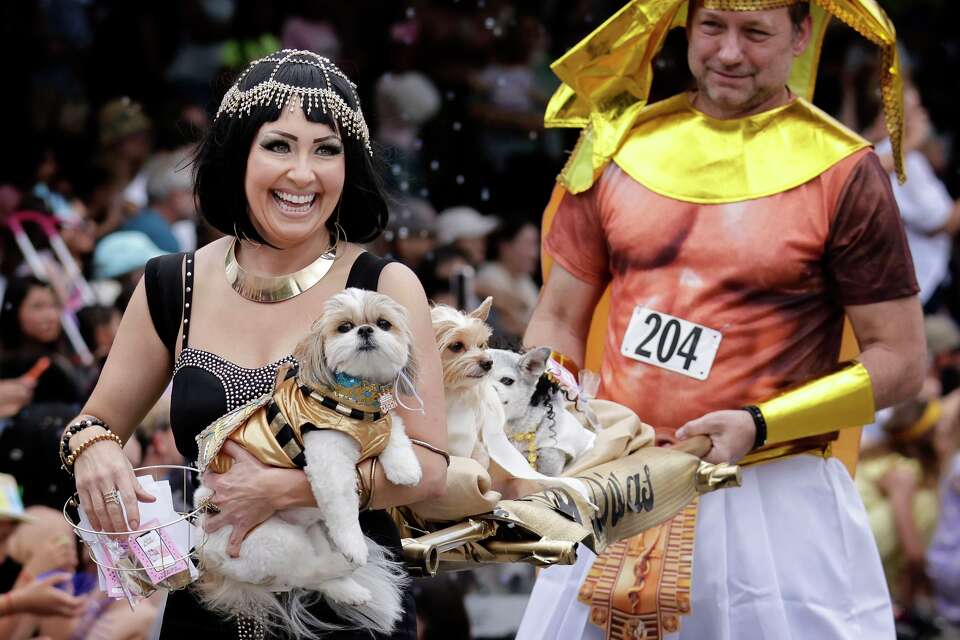Photos: Easter Eggs and Pooches at Easter in Turtle Creek Park
