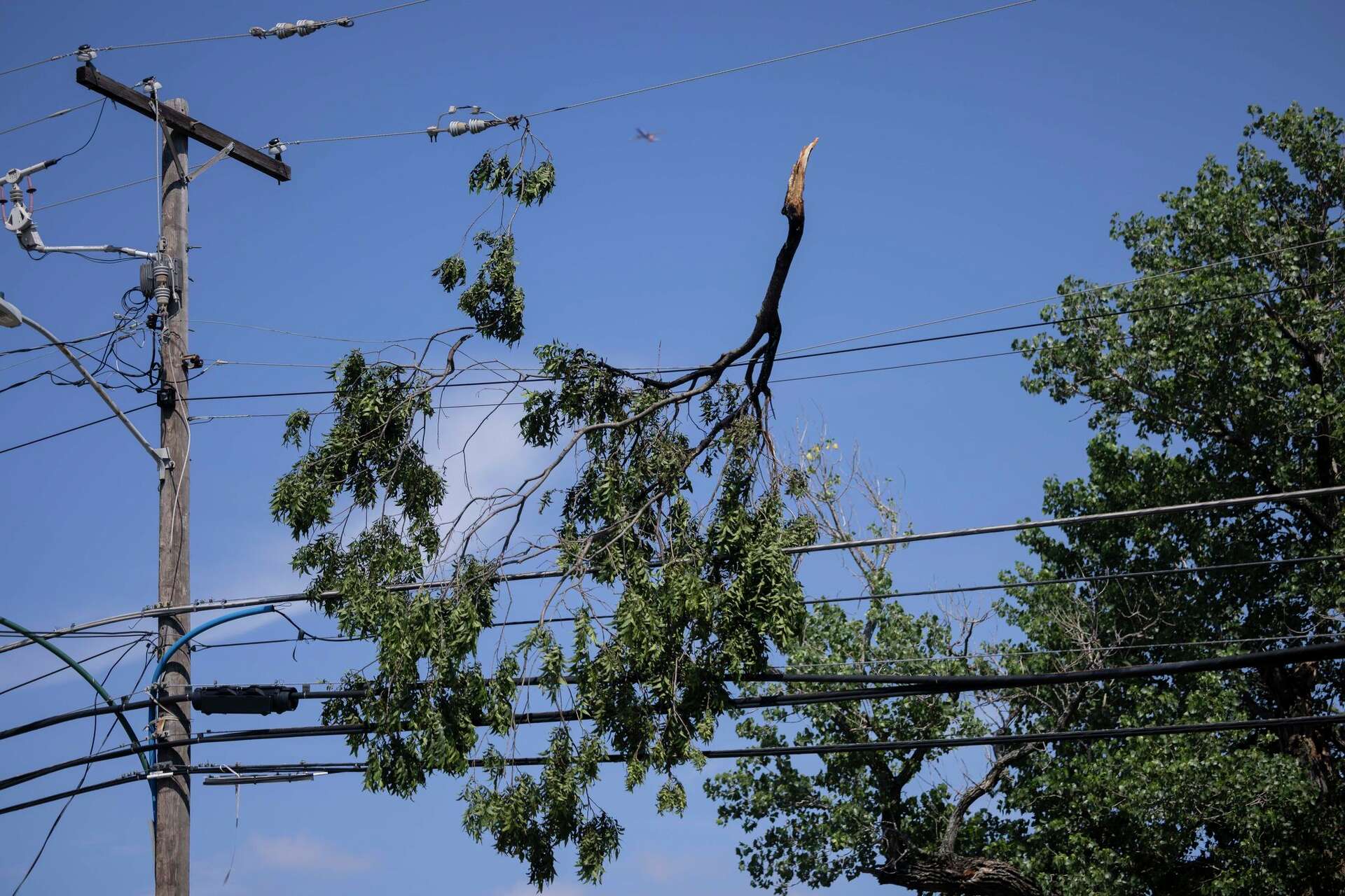 Some Dallas-area customers still without power after Tuesday storms