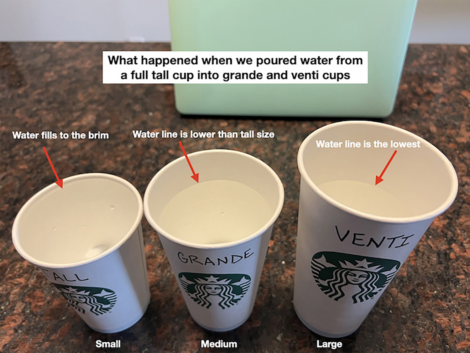 Do all Starbucks cups hold the same amount of liquid? No, that's Pants on  Fire!