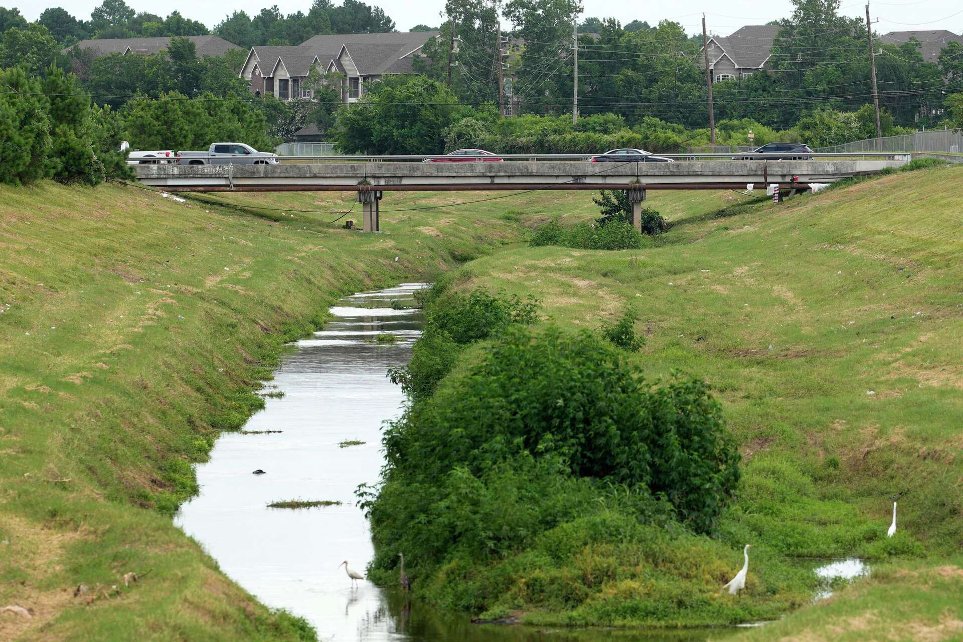 Houston girl, 12, found strangled in creek; 2 men arrested
