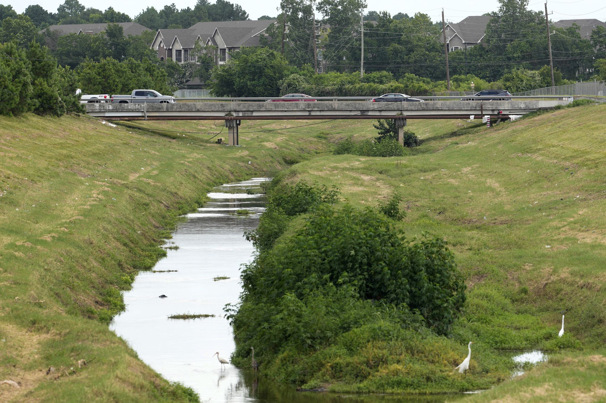 Houston girl, 12, found strangled in creek; 2 men arrested