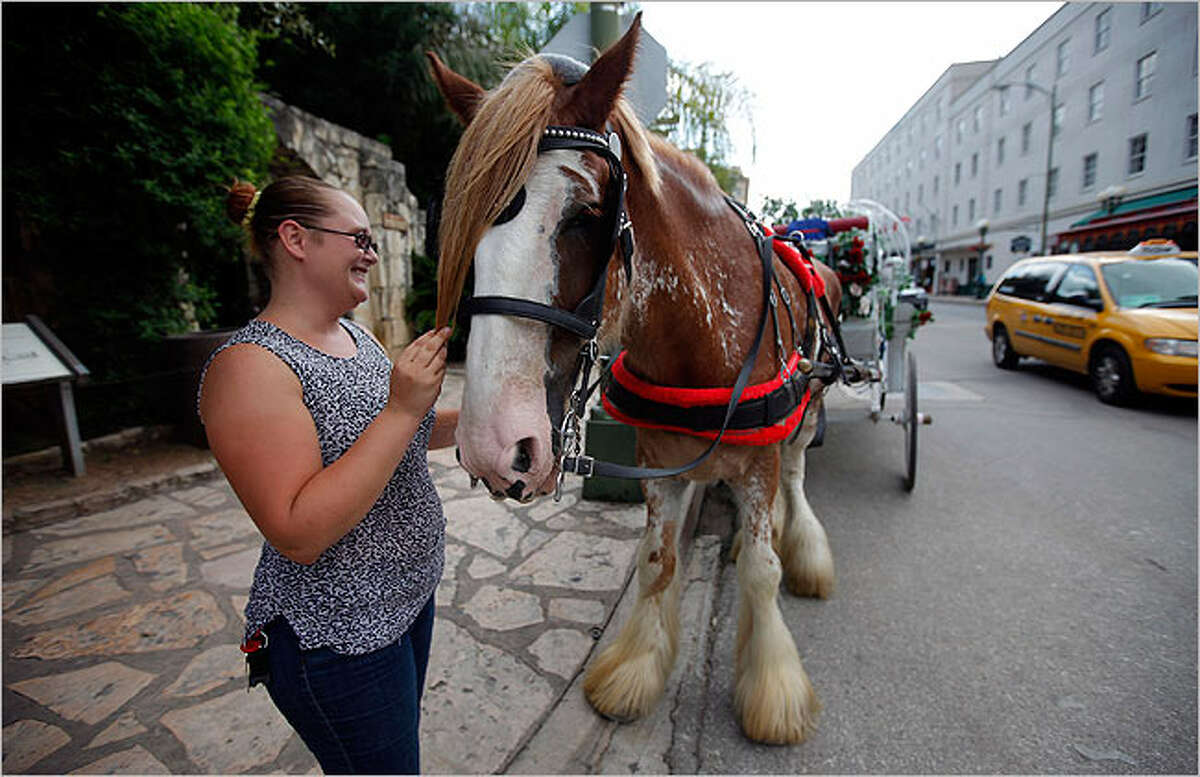 Horsedrawn carriages