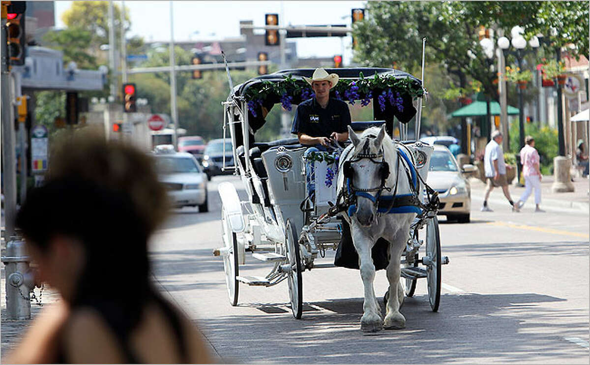 City Council approves new horse carriage regulations