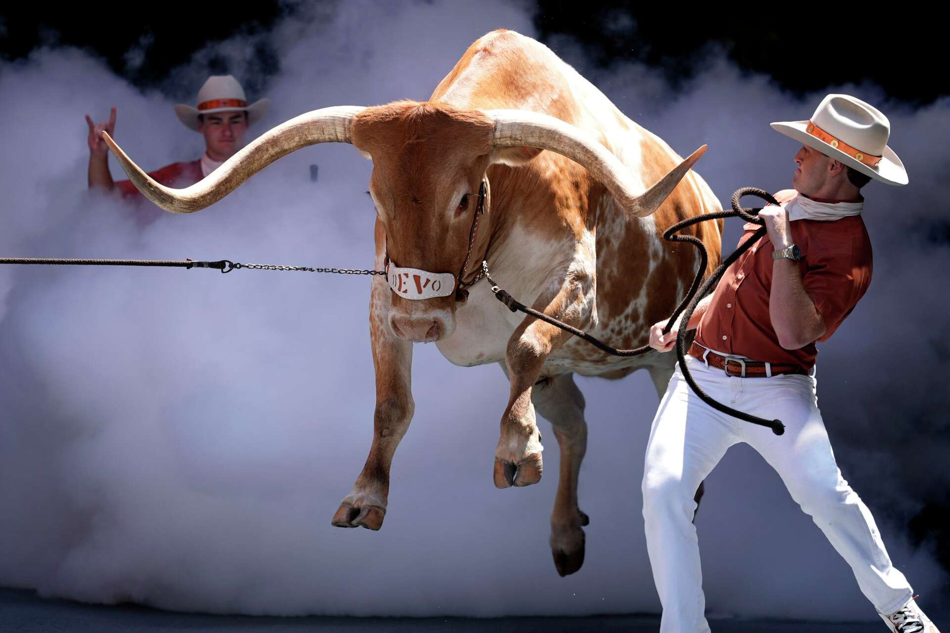 Ducking Bevo? Georgia's live mascot, Uga, won't travel to Texas game