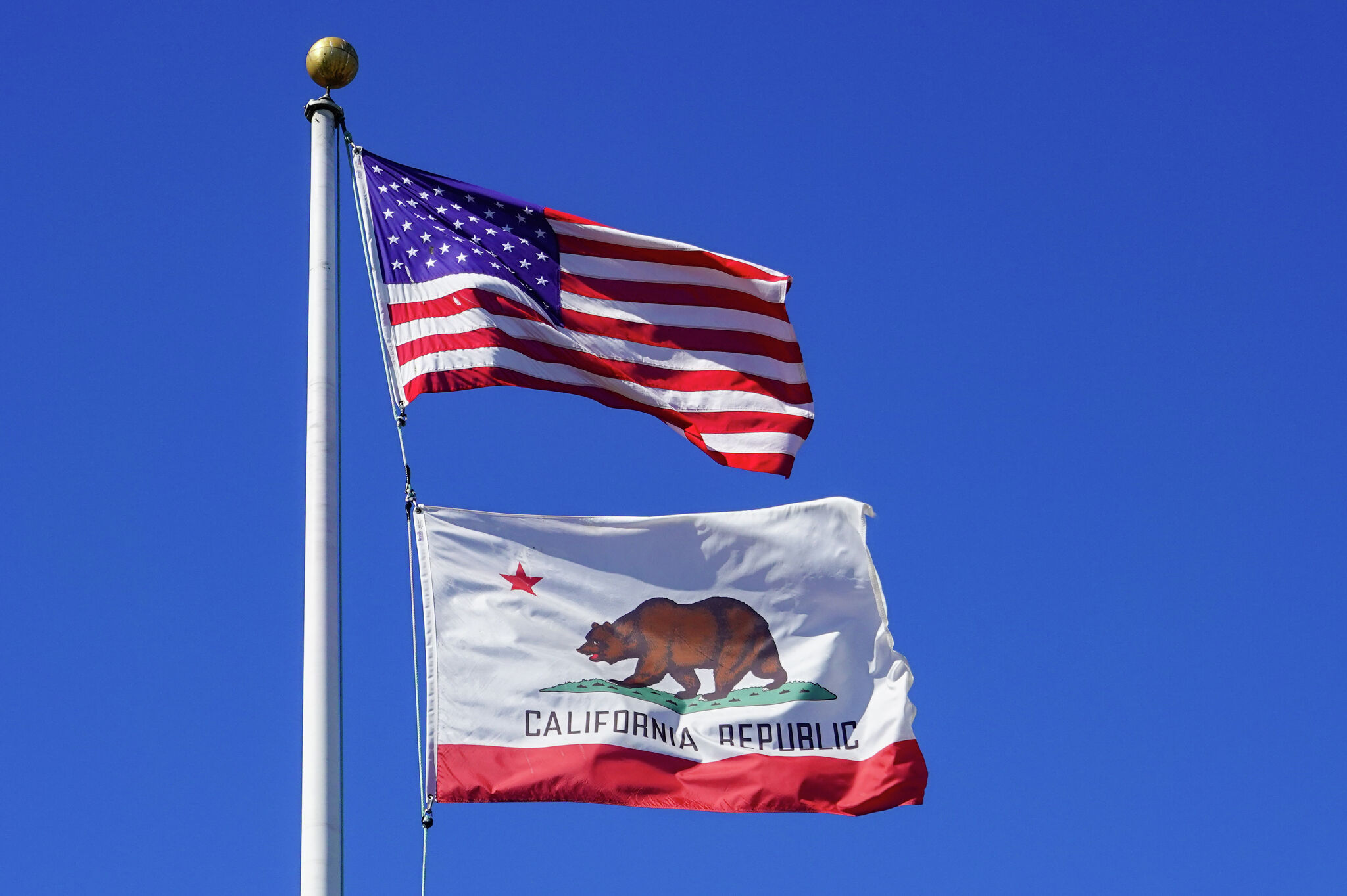 California's new tool for dodging spam and fraud passes 150K signups