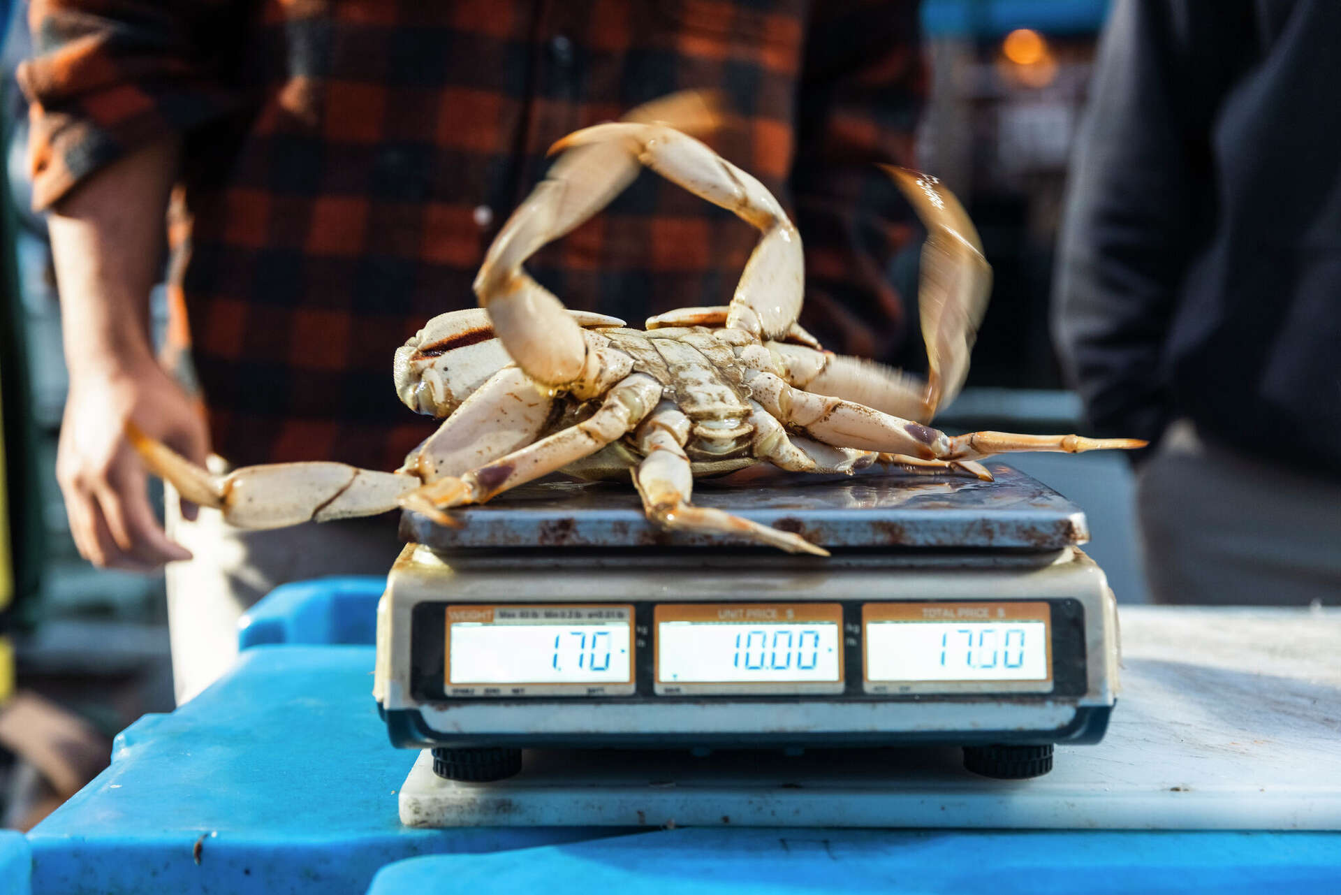 SF's Fisherman's Wharf offers new way to get Dungeness crab