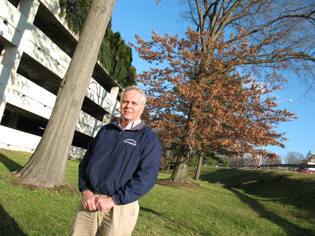 Tree warden concerned about planned tree removal