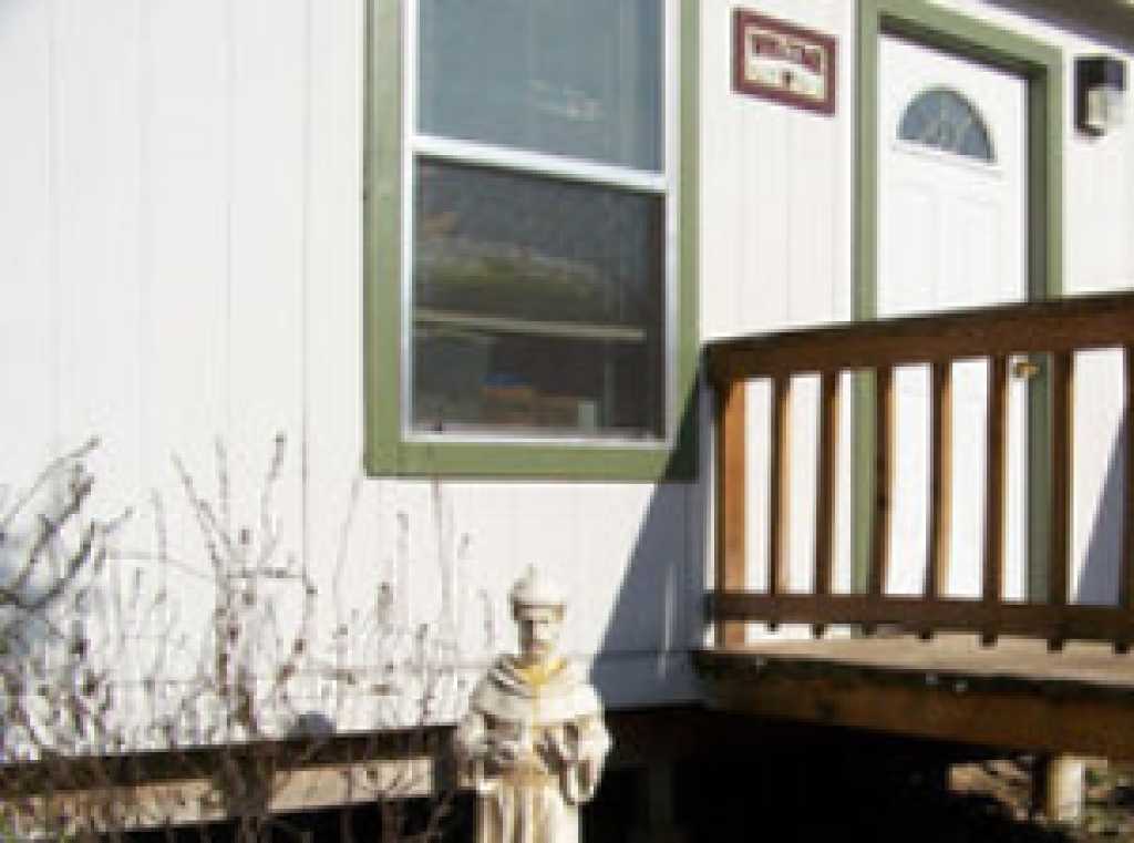 Love for Paws Rescue evolves