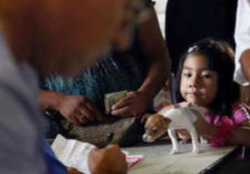 rudy's pet shop & feed store