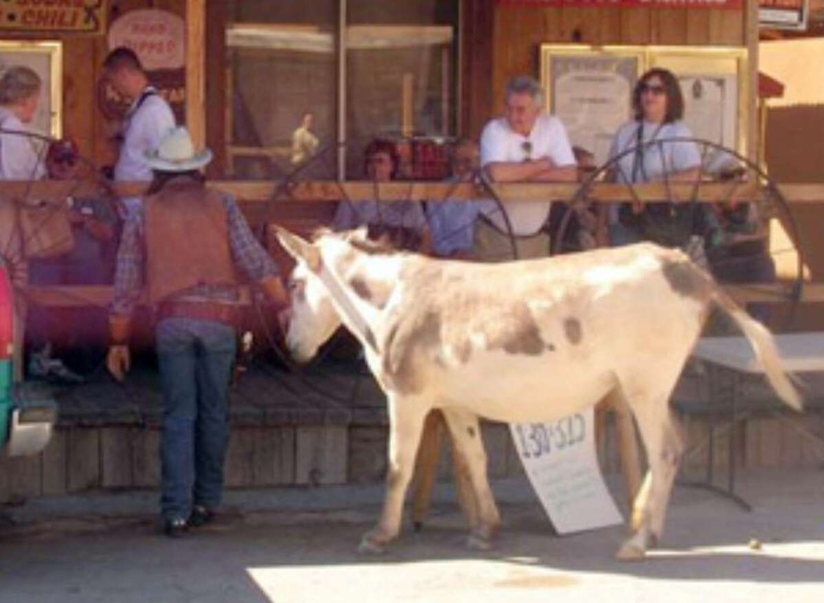 Tourists look at a burro in front of an Oatman, Ariz., store in this October 2008 photo.