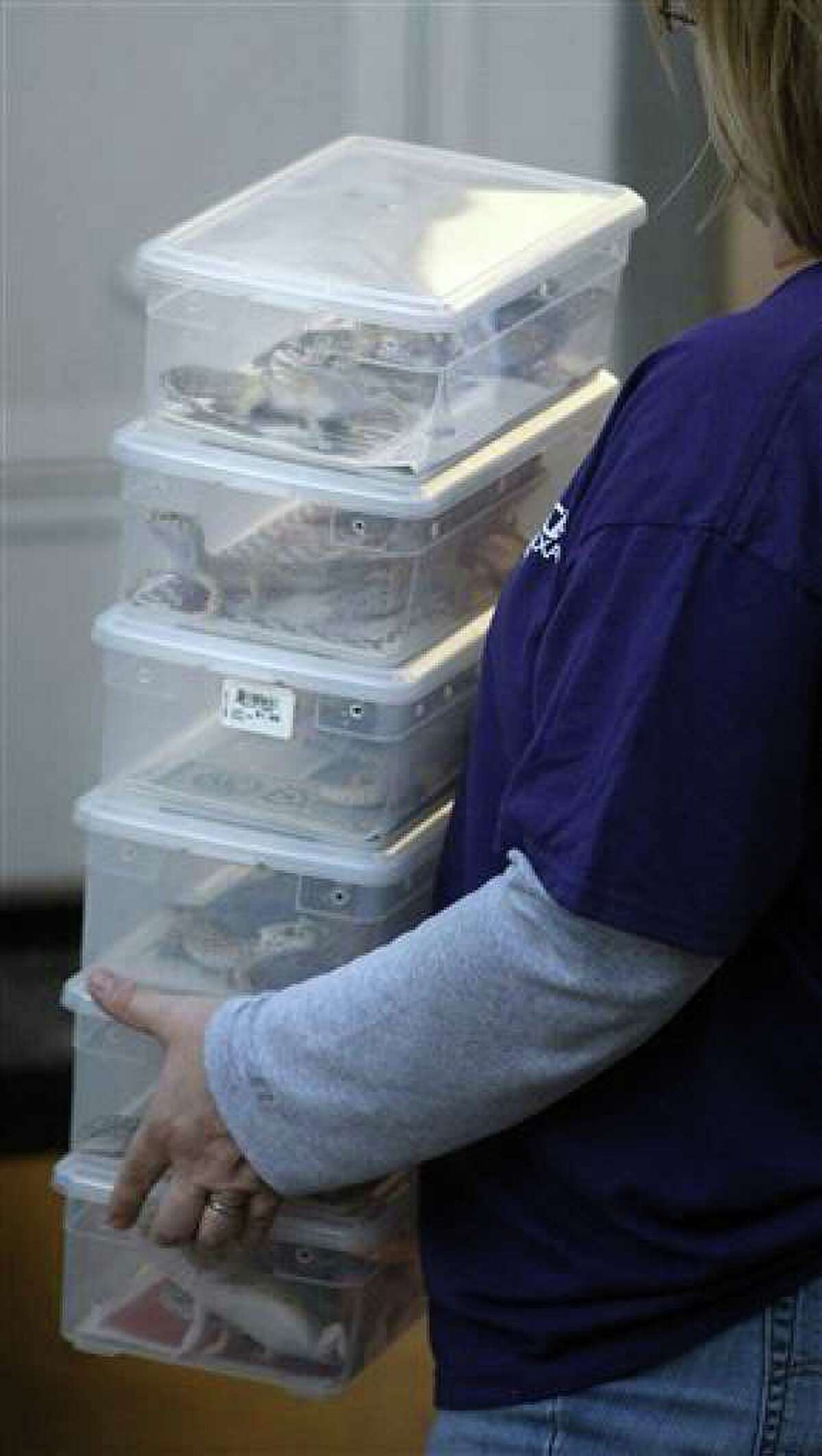 Dead rodents, skinny snakes found in Texas raid