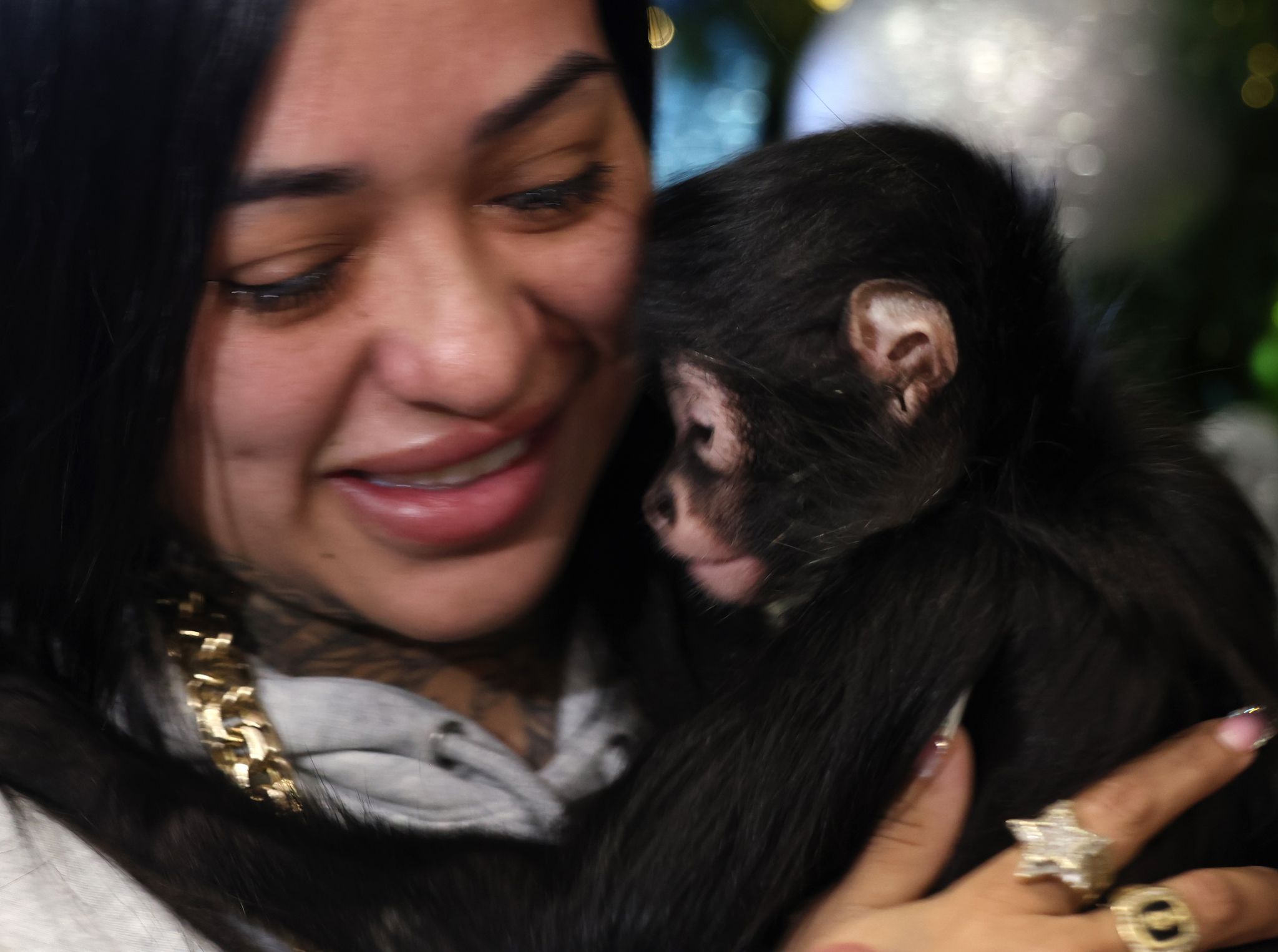 Jorgie Boy, monkey seized by Dallas police, returns home after saga