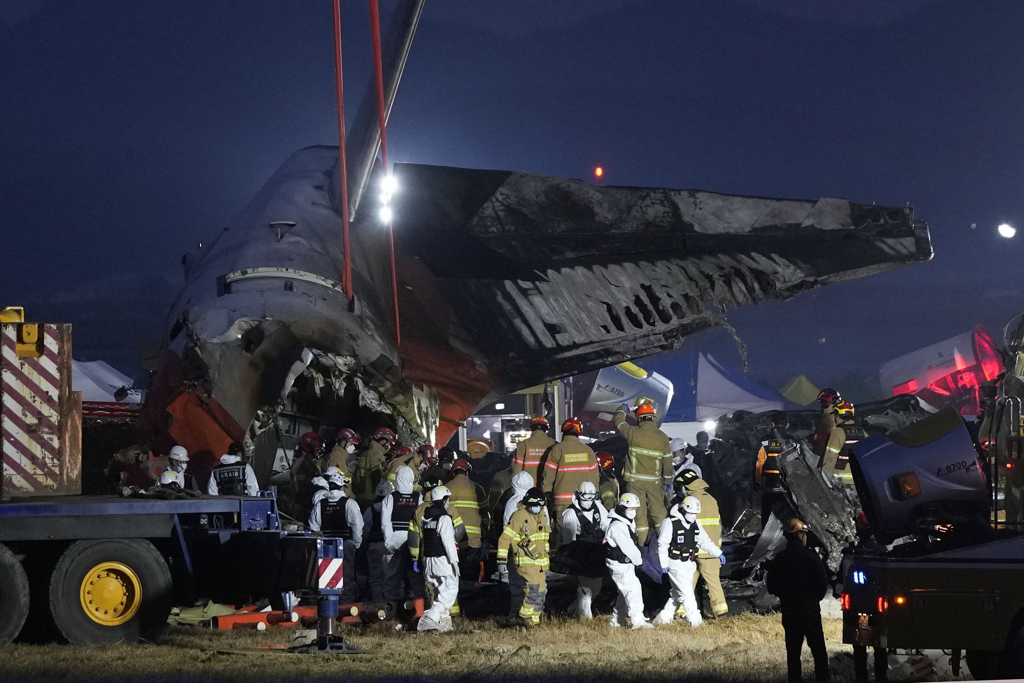 Bird strike, landing gear focus of probe in South Korea plane crash ...