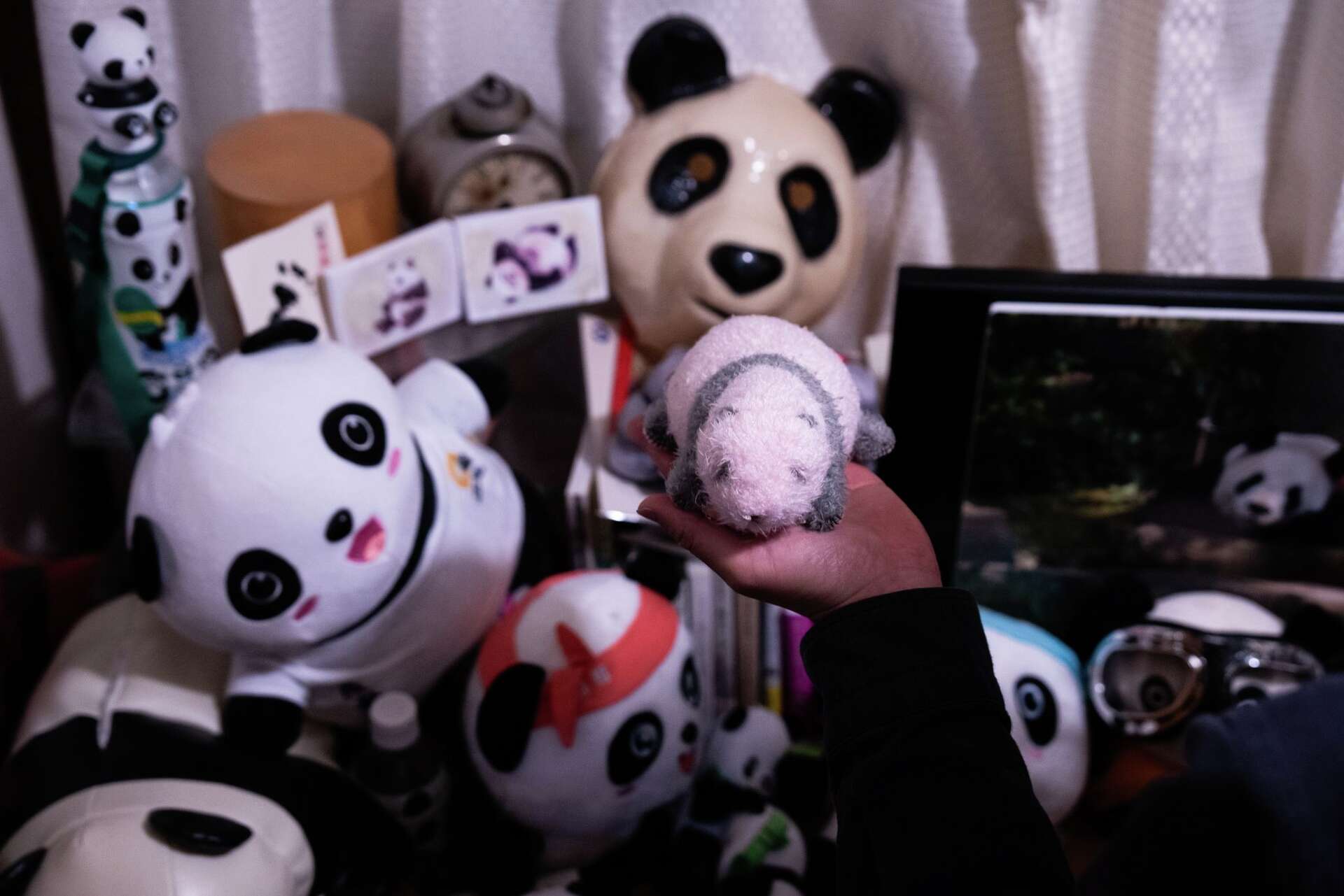 Photos shows Japan's love of pandas as twins Xiao Xiao and Lei Lei