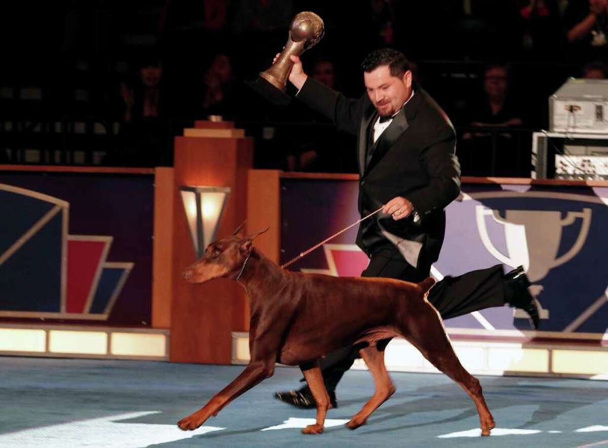 AKC / Eukanuba National Championship dog show