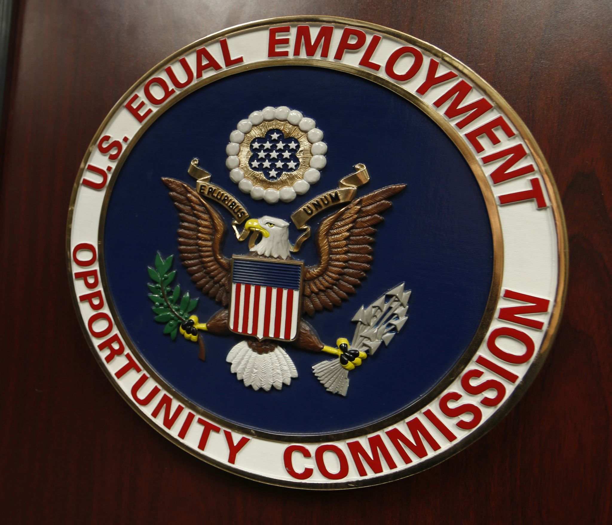 Solera sued by EEOC for ADA violations, firing blind employee