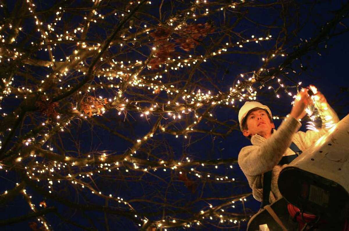 In this November 2008 file photo, Ciaran Carruthers of Emerald Organic tree service places lights in the trees along Greenwich Avenue in preparation for the holiday season. The lights are back again in the central business district, but donations for them have dwindled.