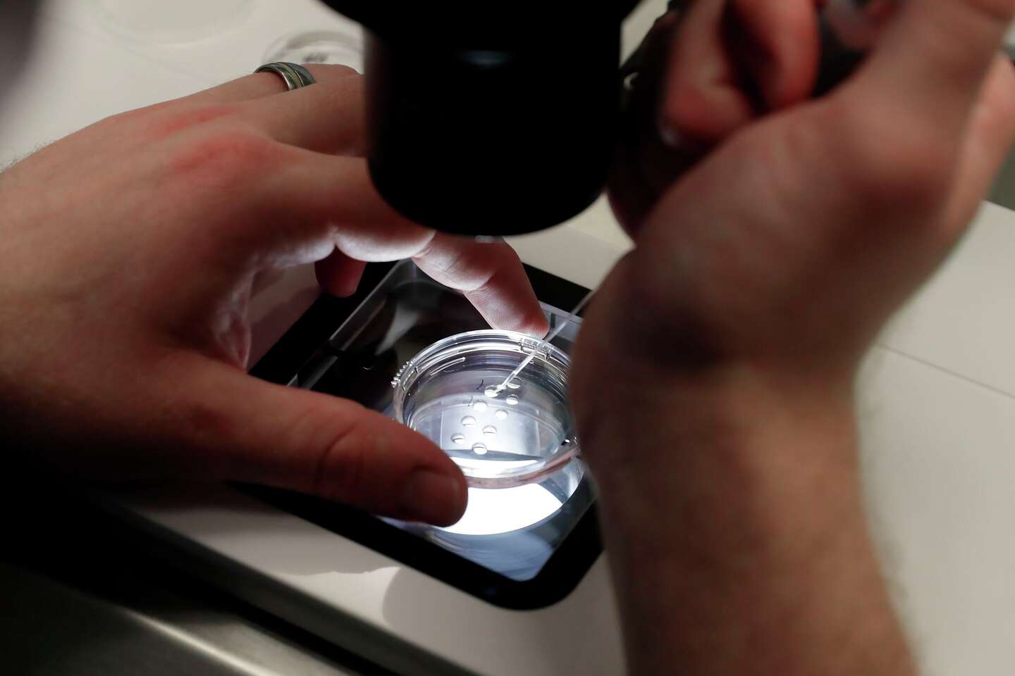 Testing Science Embryo Fertility startup to open Dallas lab for AI-driven embryo testing